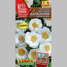Портулак Балкончик Ванильный (махровый)