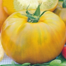 Томат Восьмое чудо света