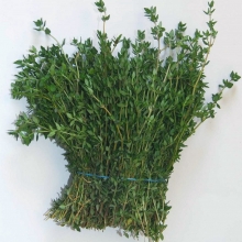 Тимьян Лимончелло