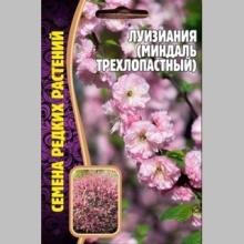 Луизиания Миндаль трехлопастный (большой пакет)