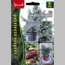 Ель ликиангинская (большой пакет)