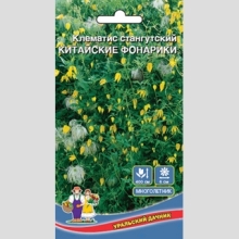 Клематис Китайские Фонарики - тангутский