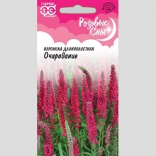 Вероника Очарование длиннолистная