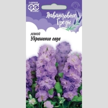 Левкой Украшение сада