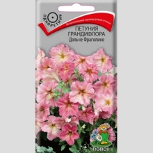 Петуния Дольче Фраголино