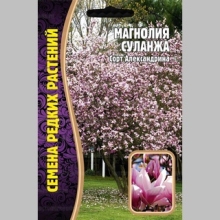 Магнолия Суланжа (большой пакет)