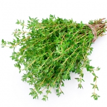 Тимьян Душистый нектар