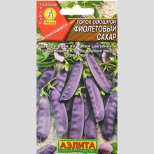 Горох Фиолетовый сахар