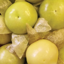 Физалис Кондитер овощной