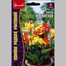 Канна Индийская (большой пакет)