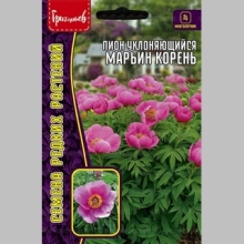 Пион Марьин Корень (уклоняющийся) (большой пакет)