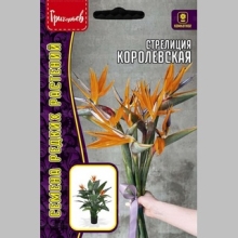 Стрелиция Королевская (большой пакет)