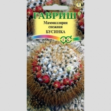 Маммиллярия Бусинка