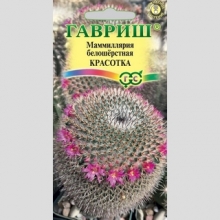 Маммиллярия Красотка