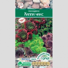 Молодило Хиппи Чикс