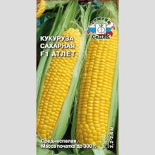 Кукуруза Атлет F1