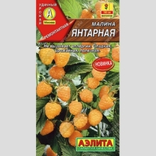 Малина Янтарная