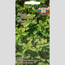 Мята болотная Соня
