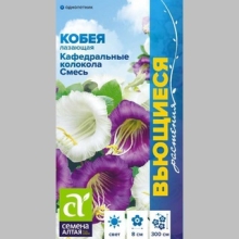 Кобея Кафедральные колокола Фиолетовая