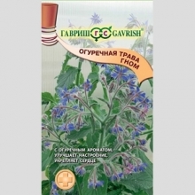 Огуречная трава Гном (бораго)