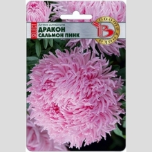 Астра Дракон селект Сальмон Пинк
