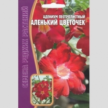 Адениум Аленький Цветочек (тучный) (большой пакет)
