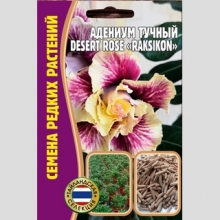 Адениум Raksikon (тучный) (большой пакет)