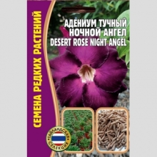 Адениум Ночной Ангел (тучный) (большой пакет)