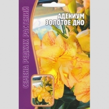 Адениум Золотое Дно (тучный) (большой пакет)