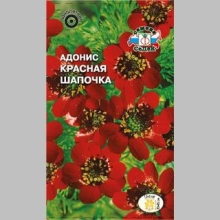 Адонис Красная шапочка