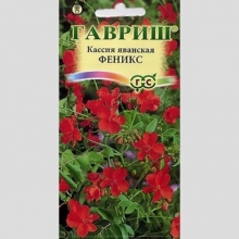 Кассия Феникс яванская