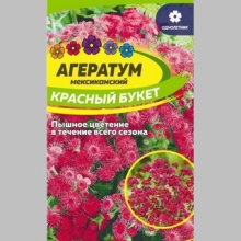 Агератум Красный букет