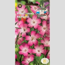 Агростемма Аврора (изящная)