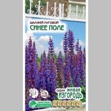 Шалфей Синее поле (луговой)