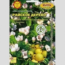 Айва Райское дерево (продолговатая)