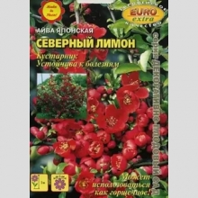 Айва Северный лимон (японская)