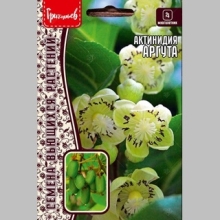 Актинидия Аргута (большой пакет)