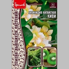 Актинидия Китайская Киви (большой пакет)