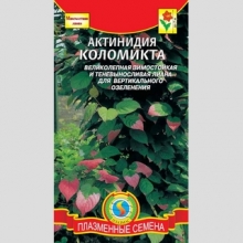 Актинидия коломикта