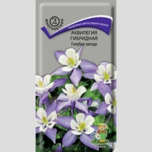 Аквилегия Голубая звезда (гибридная)