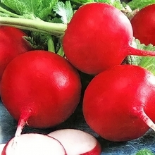 Редис Алешкина Любовь