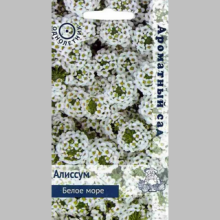 Алиссум Белое море