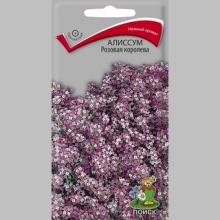 Алиссум Розовая королева