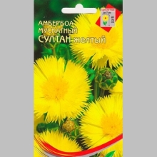 Амбербоа Султан желтый (василек мускатный)