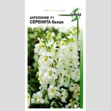 Ангелония Серенита F1 белая