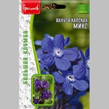 Анхуза капская Микс (большой пакет)