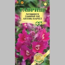 Антирринум Антик Парпл (Львиный зев)