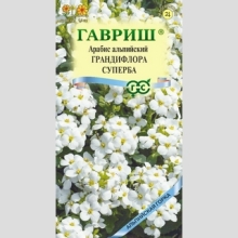 Арабис Грандифлора Суперба (альпийский)