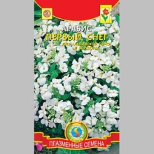 Арабис Первый Снег