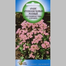 Арабис Розовый Туман